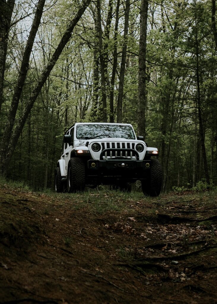 jeep, car, automobile, vehicle, forest, offroad, 4x4, wrangler, custom, white, car wallpapers, adventure, nature, discover, travel