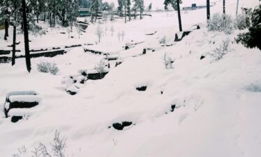 Snow-covered landscape in Murree, Punjab, showcasing pine trees and wintry scenery.