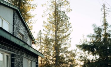 Peaceful winter scene of snowy trees and house in Nathia Gali, Pakistan.